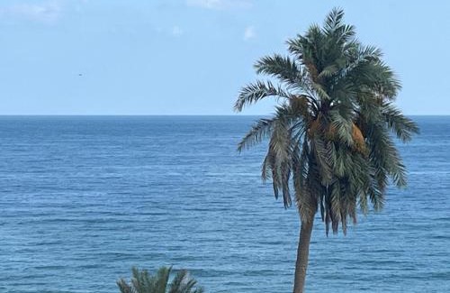 Al Arish Hotel | فندق لؤلؤة سينا