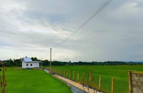 Wiang Sa House | ชมนากฤษณา