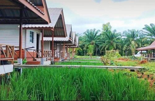 Takua Pa House | ปารมีฟาร์มสเตย์