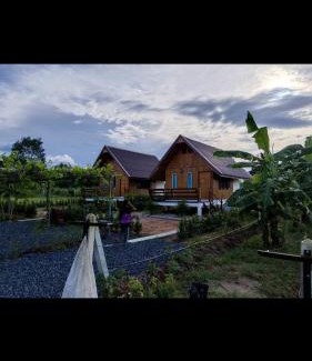 Sikhio House | สวนเบอร์รีแคมป์ทนายจุฬา Berry Camp Korat