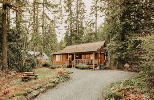 Warnick Cabin | 095GS - Hot Tub - WiFi - Pets Ok - Sleeps 4 by RedAwning