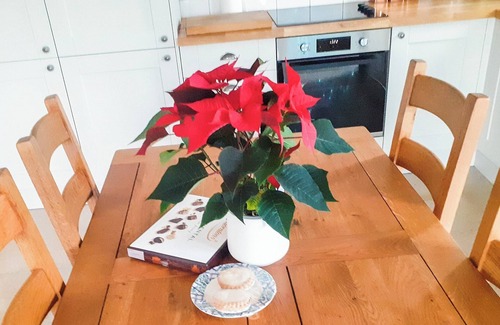 Newtown Cottage | 1 bedroom accommodation in Bettws Cedewen