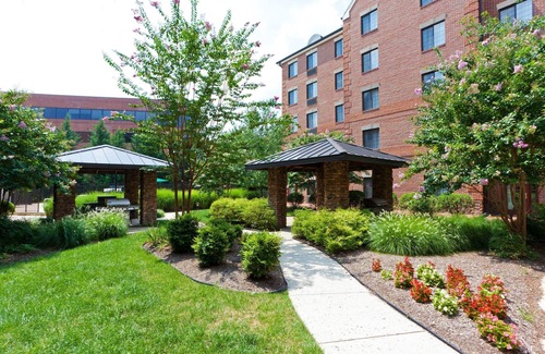 McLean Condo | 1 Bedroom | Free Breakfast + 24h Business Center
