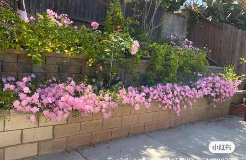 Rowland Heights House | 1 bedroom in a quiet neighborhood near the main street - Room C