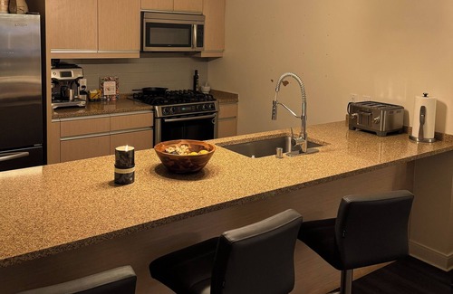 Downtown San Jose Apartment | 1 Bedroom Loft in downtown San Jose