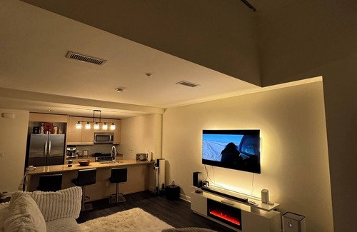 Downtown San Jose Apartment | 1 Bedroom Loft in downtown San Jose
