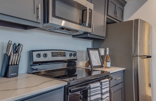 MacGregor Apartment | 1 BR 1 BA Luxury - Museum District & Downtown HTX