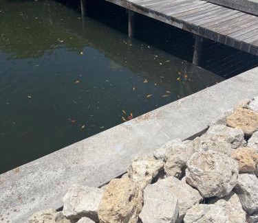 Grove City Apartment | 1 BR, Heated POOL, 1 Mile direct gulf access, GREAT Location, Dockage Apt B