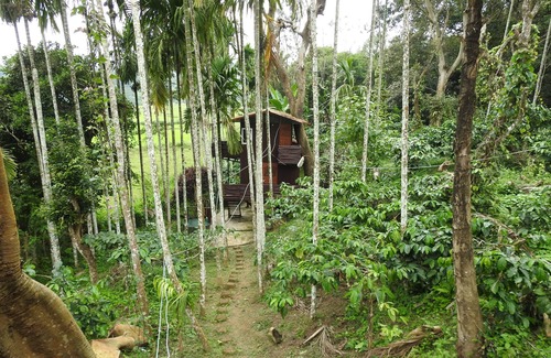 Virarajendrapet Resort | 1 Duplex Tree House, 1 Tree House, 2 Cottages and 1 Family villa