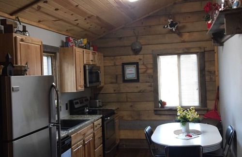 Mountain Home Cabin | #1 Fall Creek Cabins 1 mile from Lake Norfork and Mtn. Home Ar.