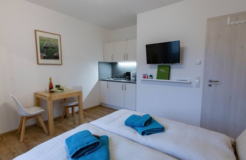 Oberschwappach Apartment | 1-raum-appartement "domina"