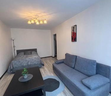 Klaipeda Apartment | 1 room apartment in Statybininku pr.