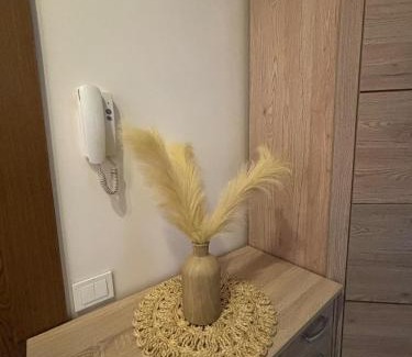 Klaipeda Apartment | 1 room apartment in Statybininku pr.