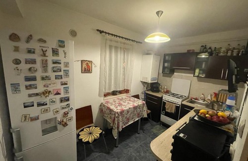 Orastie Apartment | 1 Room with 1 cozy bed, 1 bathroom and kitchen