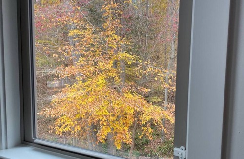 Semora House | 10 mins from VIR! 3+ acres, SECLUDED treelined property, gentle slope to lake