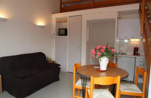 Aulus-les-Bains Apartment | 100m from resort center, view mountain, fitness, parking, tv, 25m², Guzet