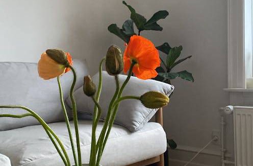 Frederiksberg C Resort | 102 m² Private room ∙ 1 bedroom ∙ 1 guest