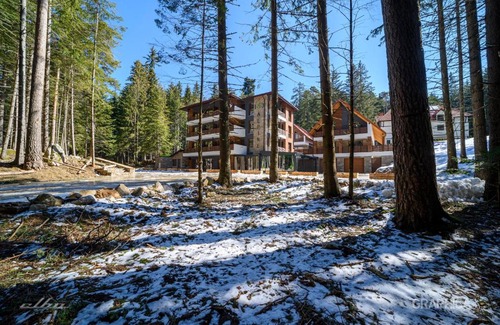 Panichishte Hotel | 103 Alpine Hotel