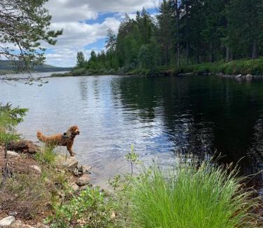 Lofsdalen House | 1125 Fjällstugan