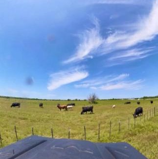 Waxahachie House | 120 Acre Estate WaterTubing, Livestock,Event Space