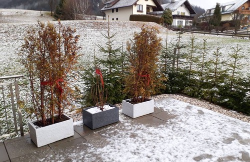 Bad Mitterndorf Apartment | 120 m² Apartment ∙ 2 bedrooms ∙ 5 guests