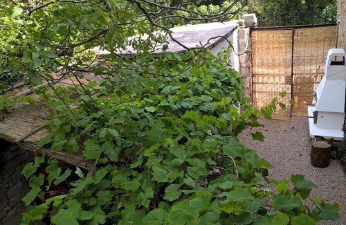 Drivenik House | 140 years fully renovated house in natural surroundings