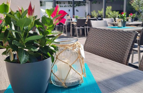 Kattenes Hotel | 15 m² Hotel ∙ 1 bedroom ∙ 1 guest