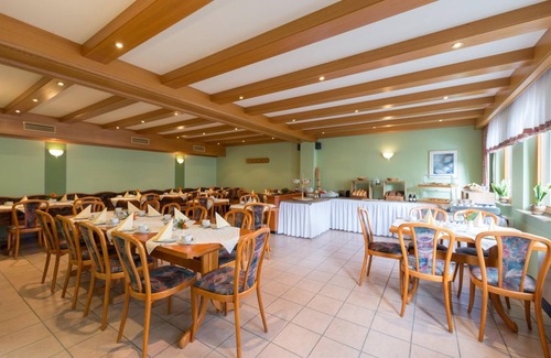 Kattenes Hotel | 15 m² Hotel ∙ 1 bedroom ∙ 1 guest