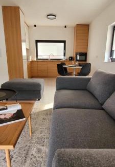 Lodz Apartment | 17 DOM duży parking , Mandoria , PTAK , 2 Sypialnie lub 1 sypialnia, taras , Autostrada A1, Kalinowskiego 17E WIFI