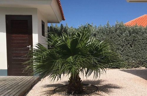 Willemstad House | 174 m² House ∙ 3 bedrooms ∙ 6 guests