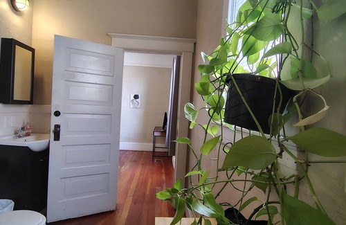 Downtown Reno Bed & Breakfast | 1930s Plant-Filled true BNB for 7 w/Music Room, Infra-Red Sauna & Cast-Iron Tub