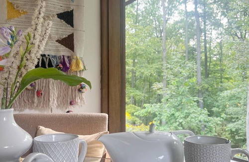 North Dumfries House | 1960 Mid-Century Modern Nature Retreat