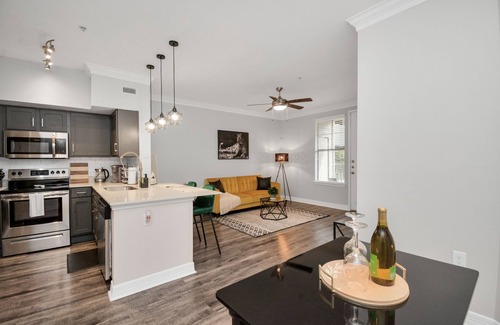 Braeswood Place Apartment | 1Br Oasis near NRG Stadium+Extended Stays welcomed