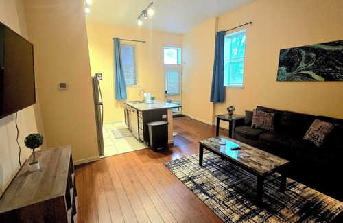 The Gate Apartment | 1st Floor King- Less than From 5 Miles From BJC- Unit D