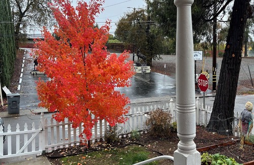 Auburn House | 2 bed 1 bath cottage in downtown Auburn- fenced yard, WiFi and AC. Dog friendly
