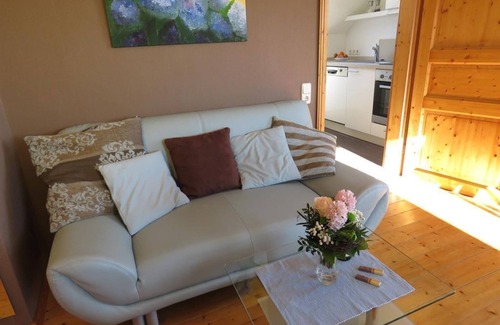 Pleisweiler Apartment | 2-bed apartment 36m² (hydrangea) - The blue house