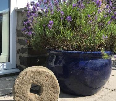 Bethania House | 2 Bed Rural cottage between the mountains and Sea in West Wales
