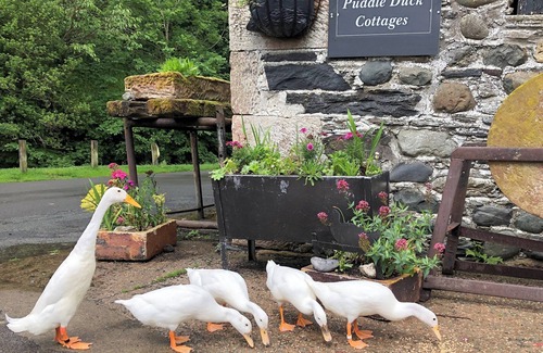 Bassenthwaite Cottage | 2 bedroom accommodation in Bassenthwaite