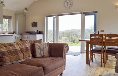 Llanybydder Cottage | 2 bedroom accommodation in Cwrt Newydd, near Llandysul