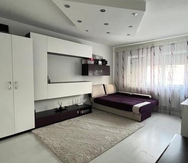 Arad Apartment | 2 Bedroom Apartament, FREE Parking