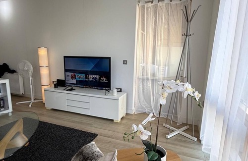 Haselbury Apartment | 2-bedroom apartment near Canning Town Station E16 1GW London