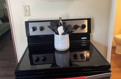 Lexington Apartment | 2-bedroom apartment with modern appeal in Lex! Mid Ohio close by!