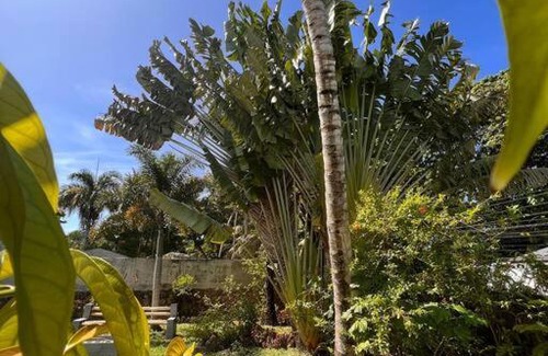 La Ceiba House | 2-bedroom Bonita cottage with pool