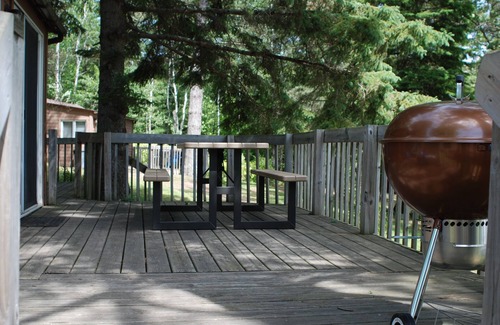 Nevis Cabin | 2 Bedroom Cabin Nestled in the Pines on Quiet Lake