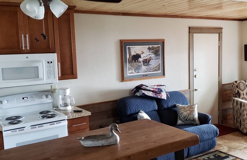 Battle Lake Cabin | 2-Bedroom Cabin On Otter Tail Lake - (Cabin #14) (1/2 Of Duplex)