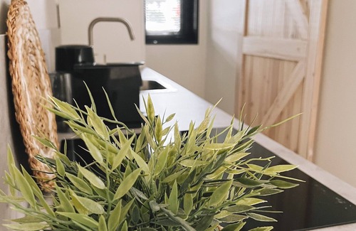 Rheezerveen House | 2 bedroom private vacation home in rheezerveen