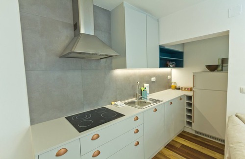 Ljubljana City Centre Apartment | 2 floor apartment, Old Town, cheap & easy park, pets welcome