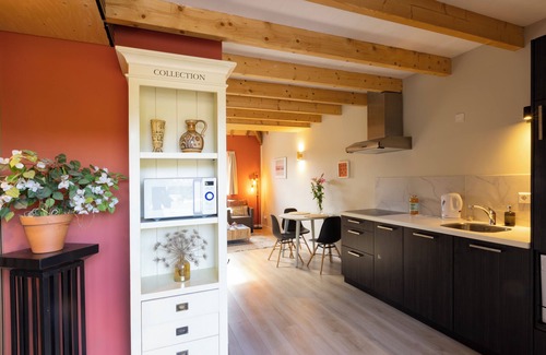 Stadsdam Apartment | 2 luxury holiday cottages in the beautiful Maximapark in Utrecht, Free parking