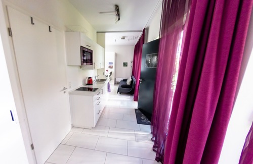 Feuerhagle/Muhlenviertel Apartment | 2-room garden house apartment in Tübingen