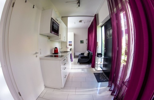 Feuerhagle/Muhlenviertel Apartment | 2-room garden house apartment in Tübingen